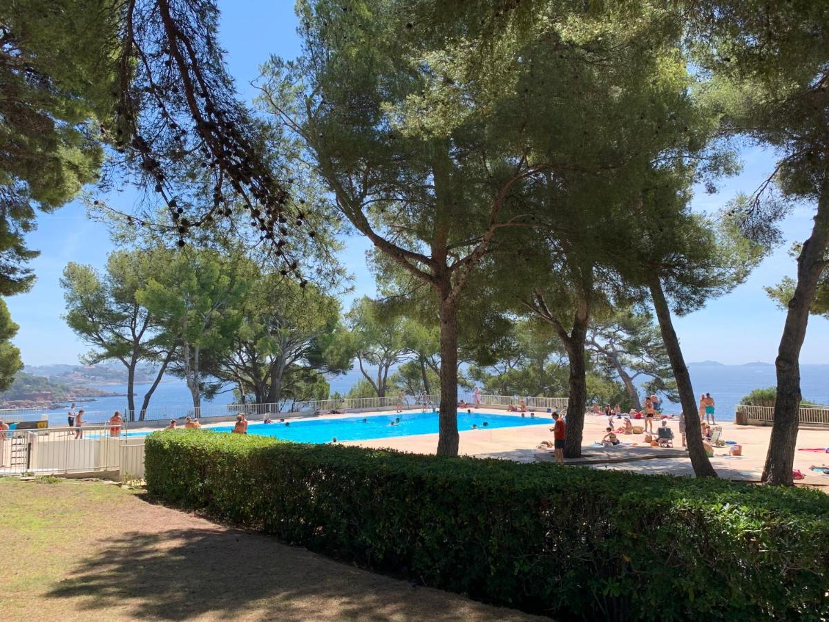 Horizon Bleu Bandol : Appartement Pieds Dans L'Eau Luaran gambar